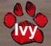 ivy