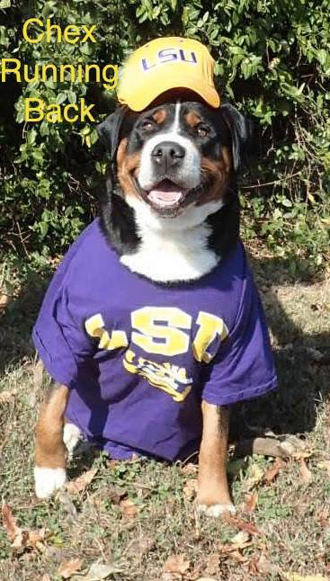 Chex LSU